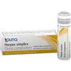 GUNA SpA Herpes Simplex Guna Compositum Granuli 4g