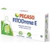 Schwabe Pharma FITODRENA E 10 FIALE 2 ML