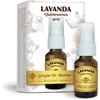 Dr. Giorgini LAVANDA QUINTESSENZA SPRAY 15 ML