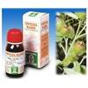 Bardana 50ml tm