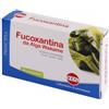 Kos Fucoxantina 60 compresse