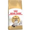 Royal Canin Ragdoll Adult 2 Kg Alimentazione Gatto