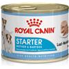 Royal Canin Starter Mousse Mother & Babydog 195 gr Scatoletta Umido Per Cane