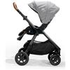 Joie Passeggino Joie Signature Finiti™ Carbon