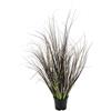 Flair Flower Grasbusch in Vaso