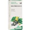 SPECCHIASOL Srl ELEUTHEROCOCCO TM 50ML SPECCH
