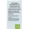 OTI Srl Oti - Crataegus Oxycantha Tintura Madre Gocce 100ml - Integratore Naturale per la Salute del Cuore