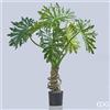 Enzo De Gasperi EDG Enzo De Gasperi pianta con vaso Filodendro Bell h120 cm