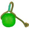 Starmark Swing N Fling Chew Ball