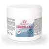 Equiplanet Equidyll Gel 500g