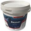 Candioli Horse Selection Candioli Recover 3kg integratore elettrolitico per cavalli