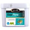 Horse Master Equi Flora 500g integratore per cavalli