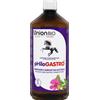 Union Bio Horse Union Bio Philogastro coadiuvante nella gastrite del cavallo