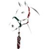 Equestro Cavezzina mod. Flaggy + lunghina