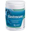 Candioli Horse Selection Candioli Gastrocure 2,6Kg integratore gastroprotettore per cavalli