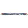 LS Models 10072 X 76604 tre elementi TER Picardie blu/grigio LIVREA 100esima AGC