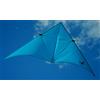PM Model Aquilone Delta Maxi Bird of Prey cm 340x145 Aquilone ascensionale professionale