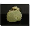 26.00 Grammi Prehnite. Andalusia, Spagna