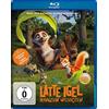 Plaion Pictures Latte Igel und der magische Wasserstein