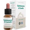 Forza Vitale ECOSOL QUINTESSENZA DI CANNELLA GOCCE 10 ML