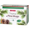 Naturwaren NATURPLUS TISANA PINO MUGO 20 FILTRI