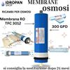 Membrana osmosi inversa RO TFC 3012 300 GPD alta portata