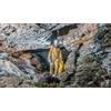 Speleo-canyoning a Monte Argentario (Grosseto)