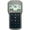 Hanna PHMetro portatile a tenuta stagna Hanna HI98190