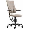 Sedia posturale SpinaliS Apollo, metallo-nero, r119-beige