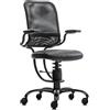Sedie ergonomiche, prezzi economici - SpinaliS Ergonomic, metallo-nero, r904-nero