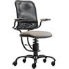 Sedie ergonomiche, prezzi economici - SpinaliS Ergonomic, metallo-nero, r119-beige