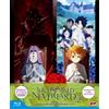 Dynit The Promised Neverland - Season 2 - Limited Edition (Eps. 01-11) (3 Blu-Ray Disc + Card)