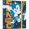 Grupo Erik: Raccoglitore A4 Sonic the Hedgehog, Raccoglitore a 2 anelli con elastico e copertina rigida in cartone, 32 x 27 cm, Cartellina portadocumenti A4