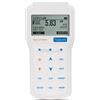 Hanna pHmetro portatile professionale per birra - HI98167