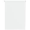 Deco Company, Mini-Rollo Tenda a Rullo, Bianco, 100 x 150 cm