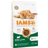 IAMS Advanced Nutrition Adult Cat con Agnello Crocchette gatto - 3 kg