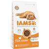 IAMS Advanced Nutrition Kitten Pollo fresco Crocchette per gatto - 3 kg