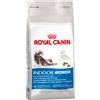 Royal Canin Indoor Long Hair Crocchette per gatti - 4 kg