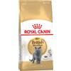 Royal Canin Breed Royal Canin British Shorthair Adult Crocchette per gatto - 2 kg