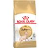 Royal Canin Breed Royal Canin Sphynx Adult Crocchette per gatto - 2 kg