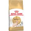 Royal Canin Breed Royal Canin Sphynx Adult Crocchette per gatto - 10 kg