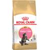 Royal Canin Breed Royal Canin Maine Coon Kitten Crocchette per gatto - 4 kg
