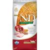 N&D Ancestral Grain Cat Farmina N&D Ancestral Grain Cat Pollo e Melograno Neutered - 5 kg