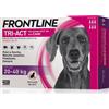 Frontline Tri Act cane: tutte le soluzioni pipette spot-on - PROMO: 12 pipette, peso 20-40kg (protetti tutto l'anno!)