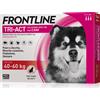 Frontline Tri Act cane: tutte le soluzioni pipette spot-on - 3 pipette, peso 40-60 kg (6 ml)
