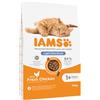 IAMS Advanced Nutrition Sterilised Pollo fresco Crocchette per gatto - 10 kg