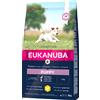 Eukanuba Puppy Small Breed Pollo - 3 kg