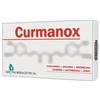 ABI PHARMACEUTICAL CURMANOX 15 COMPRESSE
