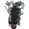 BiOrb Sea Fan Piccolo, Nero