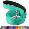Joytale Guinzaglio per Cani,1.8m x 2cm,Doppia-faccia Catarifrangente Guinzaglio per Cane Imbottito con maniglia, Guinzaglio Addestramento per Cani di Taglia Piccola Media,Turchese
